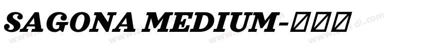 SAGONA MEDIUM字体转换